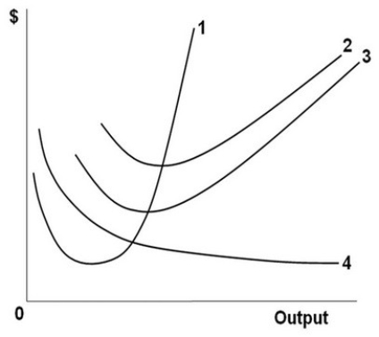 Use the figure below to answer the following questions:   In the above figure, curves 1, 2, 3, and 4 represent the: A)  ATC, MC, AFC, and AVC curves respectively. B)  MC, AFC, AVC, and ATC curves respectively. C)  MC, ATC, AVC, and AFC curves respectively. D)  ATC, AVC, AFC, and MC curves respectively.