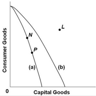 <strong>   -Refer to the above production possibilities curves. Curve (a) is the current curve for the economy. Other things being equal, society's current choice of point P on curve (a) will:</strong> A) allow it to achieve more rapid economic growth than would the choice of point N. B) entail a slower rate of economic growth than would the choice of point N. C) entail the same rate of growth as would the choice of point N. D) be unobtainable because it exceeds the productive capacity of the economy. <div style=padding-top: 35px> 