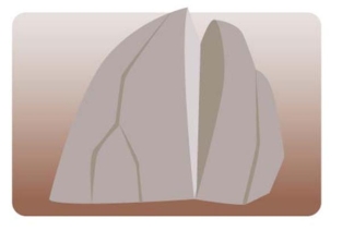 Complete la oración según la imagen.Quiero poner una ______ muy grande en el patio como decoración.