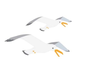 Complete la oración según la imagen.Siempre le damos de comer a las _______ en la playa.