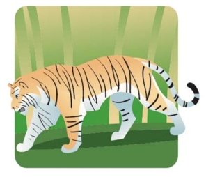 Complete la oración según la imagen.En nuestra universidad tienen un _______ en un hábitat natural al lado del estadio.