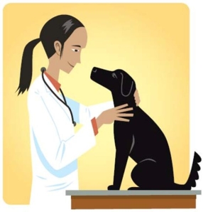 <strong>Complete la oración según la imagen.Esta _____ ha cuidado a todos nuestras mascotas.  </strong> A) veterinaria B) periodista C) física D) peluquera <div style=padding-top: 35px> 