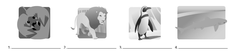 Write the correct vocabulary word for each animal.