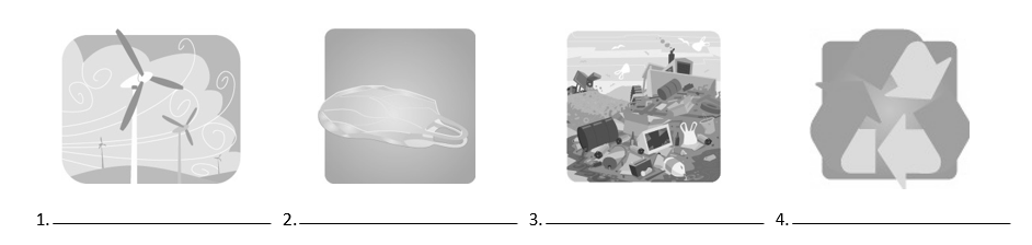 Write the correct vocabulary word for each image.    