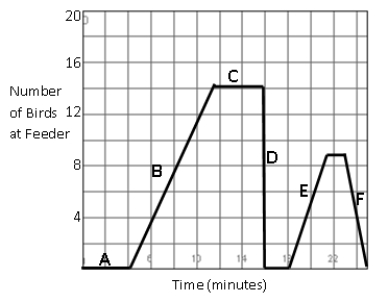 The graph below shows the number of birds at a bird feeder as a function of time.   What event most likely occurred during interval E? A)  A cat chases all the birds away. B)  Birds are coming back after being chased away by a cat. C)  The feeder is full of birds and there is no room for more. D)  The feeder was still empty from the previous day.