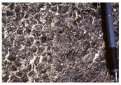 88) Which of the following rock photographs depicts a felsic igneous rock? A)    B)    C)    D)   