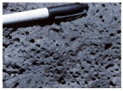 89) Which of the following rock photographs depicts an igneous rock that trapped gas? A)    B)    C)    D)   