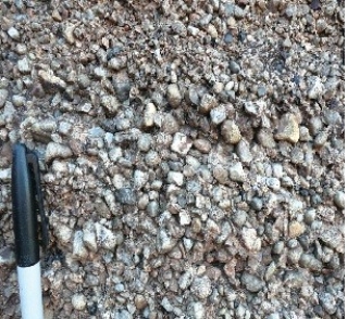 122) What type of rock is shown in this photograph from the Investigation?   A) conglomerate B) sandstone C) shale D) an igneous rock E) a metamorphic rock