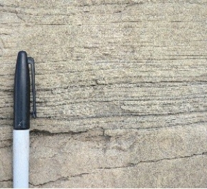 123) What type of rock is shown in this photograph from the Investigation?   A) conglomerate B) an igneous rock C) a metamorphic rock D) shale E) sandstone