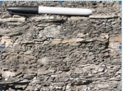 126) What type of rock is shown in this photograph from the Investigation?   A) an igneous rock B) a metamorphic rock C) shale D) sandstone E) conglomerate