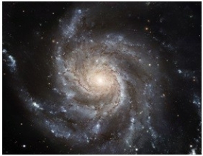 40) Which of the following features best describes this object?   A) Spiral galaxy B) Nebula C) Supernova D) Star