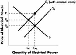 Currently Q<sub>0</sub> of electrical power is being produced. The demand curve is represented by D, and the current market supply is represented by S<sub>0</sub>. It is discovered that the Rocky Mountain Electrical Co-op and Power Company is discharging waste into the area water supply. As a result, S<sub>1</sub> represents ____ and a price of ____ would represent the true internalized cost of production at that level of output.   A) the supply curve with external costs included; P<sub>2</sub> B) the supply curve with external costs included; P<sub>1</sub> C) the supply curve with external costs included; P<sub>0</sub> D) There is insufficient information available to provide an accurate answer.