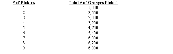 Exhibit ​    -Refer to Exhibit. The total product of labor diminishes with the addition of the ____ picker. A) fifth B) seventh C) eighth D) ninth