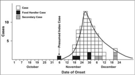 This is an example of what type of outbreak curve?   