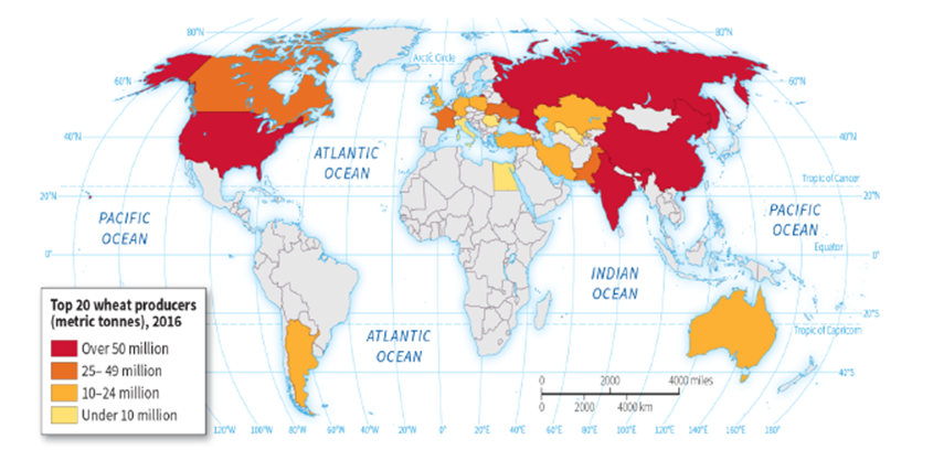   -According to the map, wheat is produced in all of the following states EXCEPT: A)  South Africa B)  Egypt C)  Russia D)  Canada