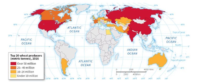   -According to the map, wheat is NOT produced in any of the following countries EXCEPT: A)  South Africa B)  Argentina C)  Mexico D)  Greenland
