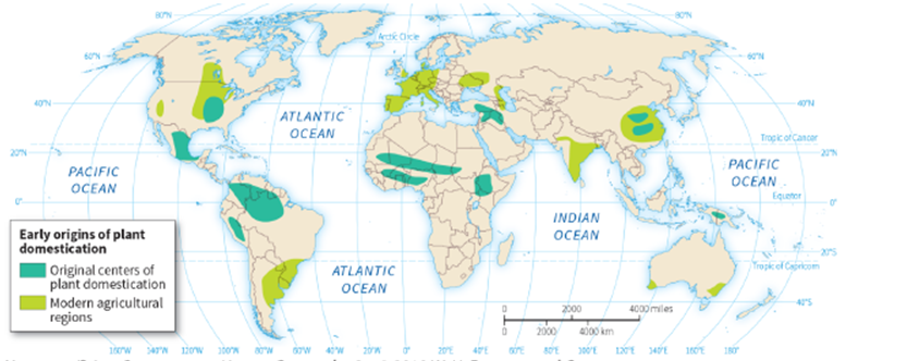   -According to the map, which is NOT a likely hearth region for plant domestication? A)  the Midwestern United States B)  northern South America C)  the Middle East D)  southern Africa