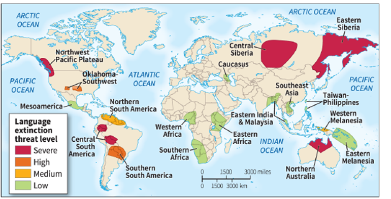   -According to the map, which is NOT a language hotspot? A)  southern Africa B)  northern Australia C)  central South America D)  North America's Upper Pacific Coast
