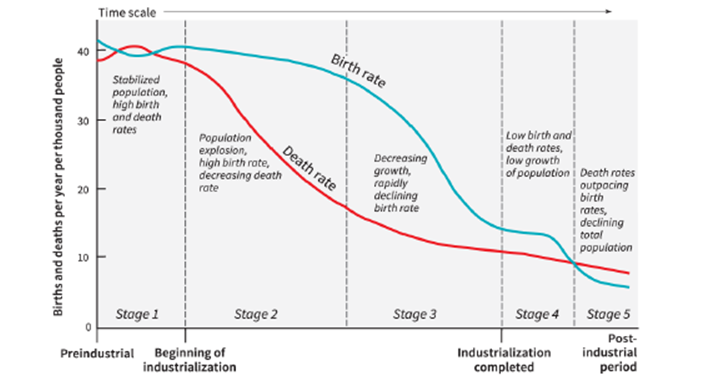   -As shown on the graph, the stage of the demographic transition in which there is declining fertility, but, as a result of already low mortality, continuing significant growth is: A)  Stage 1 B)  Stage 2 C)  Stage 3 D)  Stage 4
