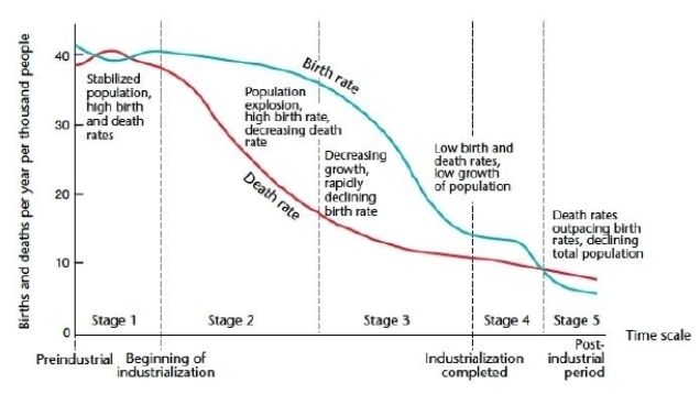   -In the demographic transition model, population explosion occurs in Stages 2 and 3.
