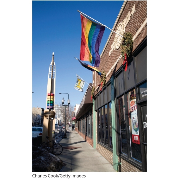   -The presence of the rainbow flag in this photo signifies that this neighborhood is likely a(n) : A)  gentrified neighborhood B)  LGBT neighborhood C)  convergent community D)  elitist landscape