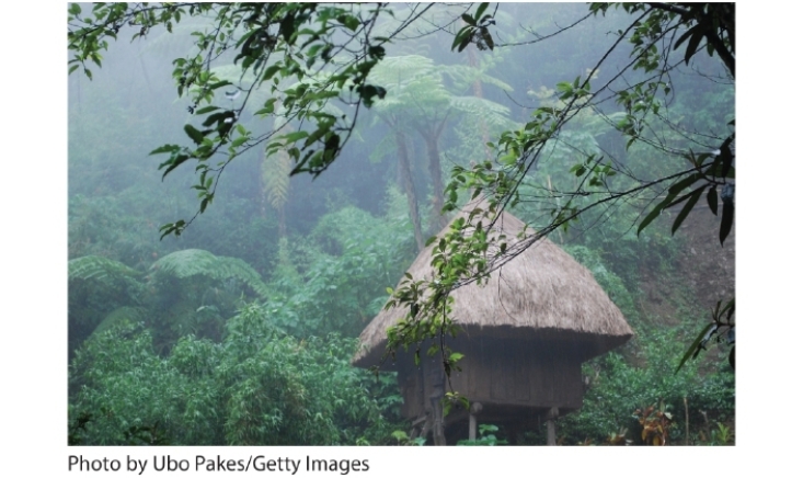   -Where was this photo likely taken? A)  the Philippines B)  Ontario, Canada C)  Hawaii D)  New Zealand