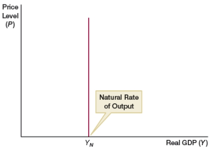 (Figure: Natural Rate)  What does the figure represent?    A)  long-run aggregate demand curve B)  short-run aggregate demand curve C)  long-run aggregate supply curve D)  short-run aggregate supply curve