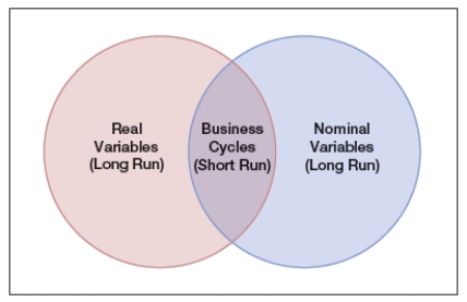 The Venn diagram shows real variables versus nominal variables, where both nominal and real variables play roles in the business cycle. All the following are examples of nominal variables, EXCEPT:   A)  inflation. B)  deflation C)  innovation D)  GDP