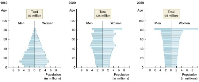 The graphs show Japanese demographics in 1960, 2020, and 2050. Which statement is NOT correct about these graphs?   A)  In 2050, the number of people in their 80's is predicted to be greater than the number of people in their 20's. B)  In 1960, there were more babies in Japan than there are predicted to be in 2050. C)  The population in Japan is predicted to decrease after 2020. D)  The predicted number of retirees in 2050 is less than the number of retirees in 1960.