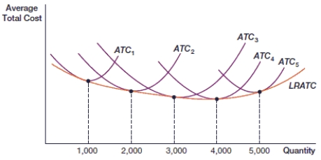 (Figure: Long-Run and Short-Run Average Total Cost Curves)  In the figure, at 4,000 units of output, the firm is experiencing:    A)  economies of scale B)  constant returns to scale C)  minimum efficient scale D)  diseconomies of scale