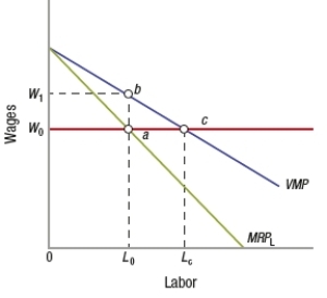 (Figure: Determining Labor and Wages)  A competitive firm hires _____ workers and pays them _____ wage.   A)  L<sub>0</sub>; W<sub>0</sub> B)  L<sub>0</sub>; W<sub>1</sub> C)  L<sub>c</sub>; W<sub>1</sub> D)  L<sub>c</sub>; W<sub>0</sub>