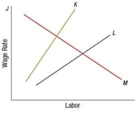 (Figure: Understanding Monopsony Markets)  The graph represents a firm that is competitive in the product market but a monopsony in the input market. Which curve represents the marginal factor cost?   A)  J B)  K C)  L D)  M