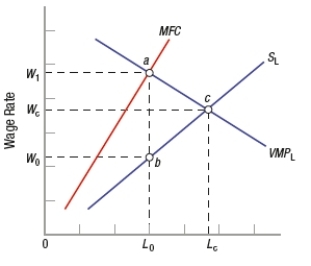 In the following graph, the product market is _____, while the labor market is _____.   A)  perfectly competitive; competitive B)  perfectly competitive; a monopsonist C)  a monopoly; competitive D)  a monopoly; a monopsonist