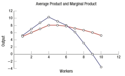  (Figure: Determining Marginal Returns)  Based on both the table and the figure, adding a fifth worker leads to _____ marginal returns.    \begin{array}{|l|l|l|l|} \hline \text { Labor } & \begin{array}{l} \text { Total } \\ \text { Product } \end{array} & \boldsymbol{M P} & \boldsymbol{A P} \\ \hline 1 & 5 & 5 & 5 \\ \hline 2 & 12 & 7 & 6 \\ \hline 3 & 21 & 9 & 7 \\ \hline 4 & 31 & 10 & 7.75 \\ \hline 5 & 40 & 9 & 8 \\ \hline 6 & 48 & 8 & 8 \\ \hline 7 & 54 & 6 & 7.71 \\ \hline 8 & 57 & 3 & 7.12 \\ \hline 9 & 57 & 0 & 6.33 \\ \hline 10 & 54 & -3 & 5.4 \\ \hline \end{array}  A)  increasing B)  diminishing C)  constant D)  negative 