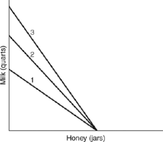 (Figure: Quarts of Milk and Jars of Honey)  A shift in the budget line in the figure from 3 to 2 is caused by a(n)    A)  increase in the price of honey. B)  decrease in the price of honey. C)  increase in the price of milk. D)  decrease in the price of milk.
