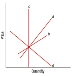 (Figure: Interpreting Short-Run Supply Curves)  Based on the graph, which of the curves would MOST likely depict a supply curve in the short run?   A)  a B)  b C)  c D)  d