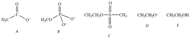 Which species would act as the best (most reactive)  nucleophile toward methyl iodide in a polar aprotic solvent?   A)  compound A B)  compound B C)  compound C D)  compound D E)  compound E