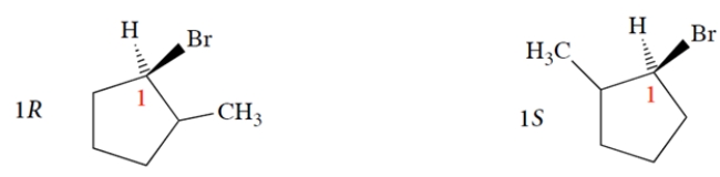 You first must realize that the R or S configuration of carbon 1 is changed by moving the methyl from one adjacent carbon to the other. Thus, we have:   This is equivalent to interchanging two groups-in this case, the ring bonds-to the asymmetric carbon. Next, pick a configuration for carbon-2 and see what it is. We'll pick the easiest one, with the methyl up.   We simply switch the methyl and hydrogen positions at carbon 2 to give the other two stereoisomers.   So, on your paper, the structures should be as follows. (You don't have to show the Hs, as they are assumed to have opposite stereochemistry to the Br or CH<sub>3</sub> on the same carbon.)  