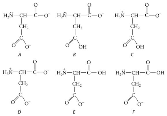 Aspartic acid is a naturally occurring amino acid. It is shown below in the form in which it exists in very acidic solutions. Its pK<sub>a</sub> values are 1.9, 3.7, and 9.6.   What is the predominant form in which it exists at physiological pH (pH = 7.4) ?   A)  form A B)  form B C)  form C D)  form D E)  form Ef.  form F