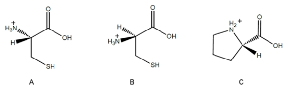 Which, if any, of the structures represents a D-amino acid?   A)  compound A B)  compound B C)  compound C D)  none of these compounds