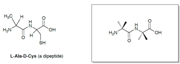 Fill in the wedge and dash bond template provided to indicate the correct stereochemistry of this unnatural dipeptide.   