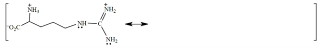 The amino acid arginine (Arg, R) exists at pH = 7.4 as the following structure:    a. The cation in the side chain is resonance stabilized. Complete the description of the resonance hybrid in the diagram above by drawing two other resonance structures and the curved-arrow notation used to derive them. (You can draw just the relevant part of the side chain.) Show all charges and unshared pairs! b. Select the one true statement: (1) Resonance makes this form of the amino acid a stronger base than it would be in the absence of such resonance. (2) Resonance makes this form of the amino acid a weaker base than it would be in the absence of such resonance. (3) Resonance makes this form of the amino acid a weaker acid than it would be in the absence of such resonance. (4) Resonance makes this form of the amino acid a stronger acid than it would be in the absence of such resonance.