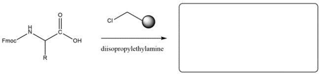 In the first step of a solid-phase peptide synthesis, an Fmoc-amino acid reacts with a chloromethyl group on the resin. (a) Draw a curved-arrow mechanism and draw the amino acid linked to the resin. (b) explain why a Fmoc group is needed and how to remove it.   