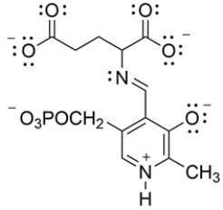 In biological systems, pyridoxal phosphate is a cofactor that aids in the decarboxylation of glutamic acid to 4-aminobutanoic acid. The key intermediate is shown below. Draw curved arrows to show the decarboxylation step.   