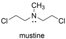 The nitrogen mustard mustine is toxic to cells because it reacts with two DNA bases on opposite strands of the double helix. Representing the two reacting bases of DNA as R<sub>3</sub>N: and Rʹ<sub>3</sub>N: show the products of the reaction of mustine with DNA in a manner that would crosslink the two DNA strands. Your mechanism should account for the very high reactivity of mustine. Show all charges and unshared pairs.   
