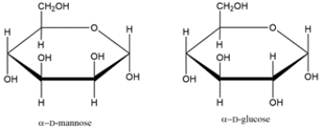Identify the relationship between the two carbohydrates. Select all that apply.   A)  enantiomer B)  diastereomer C)  anomer D)  epimer