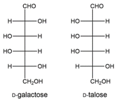 Two aldohexoses (D-galactose and D-talose) are formed from a Kiliani-Fischer synthesis. Deduce the starting material.   