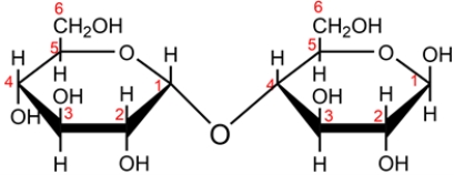 The disaccharide maltose is shown below. a. Classify the disaccharide as a reducing or nonreducing sugar and explain why. b. Identify the glucoside linkage in maltose and classify each as either alpha or beta. c. Name the monosaccharides formed when maltose is hydrolyzed in aqueous acid.  <div style=padding-top: 35px> 
