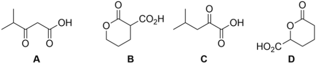 Which of the carboxylic acids would not decarboxylate (lose CO<sub>2</sub>)  upon warming?   A)  compound A B)  compound B C)  compound C D)  compound D E)  neither compound C nor compound D would decarboxylate upon warming