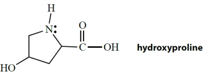 Behold the molecule hydroxyproline, drawn in its un-ionized form. Hydroxyproline is an important constituent (in combined form)  of collagen. Which correctly describes the functional groups in hydroxyproline? ​   A)  alcohol, amine, carboxylic acid B)  alcohol, amide, carboxylic acid C)  amide, amine, carboxylic acid D)  ester, carboxylic acid, amine E)  None of these lists all of the functional groups correctly.